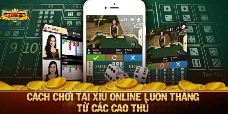Kinh nghiệm chơi tài xỉu online từ cao thủ lão làng